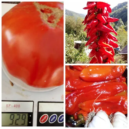 Bed & Breakfast Domacinstvo Kod Gere *